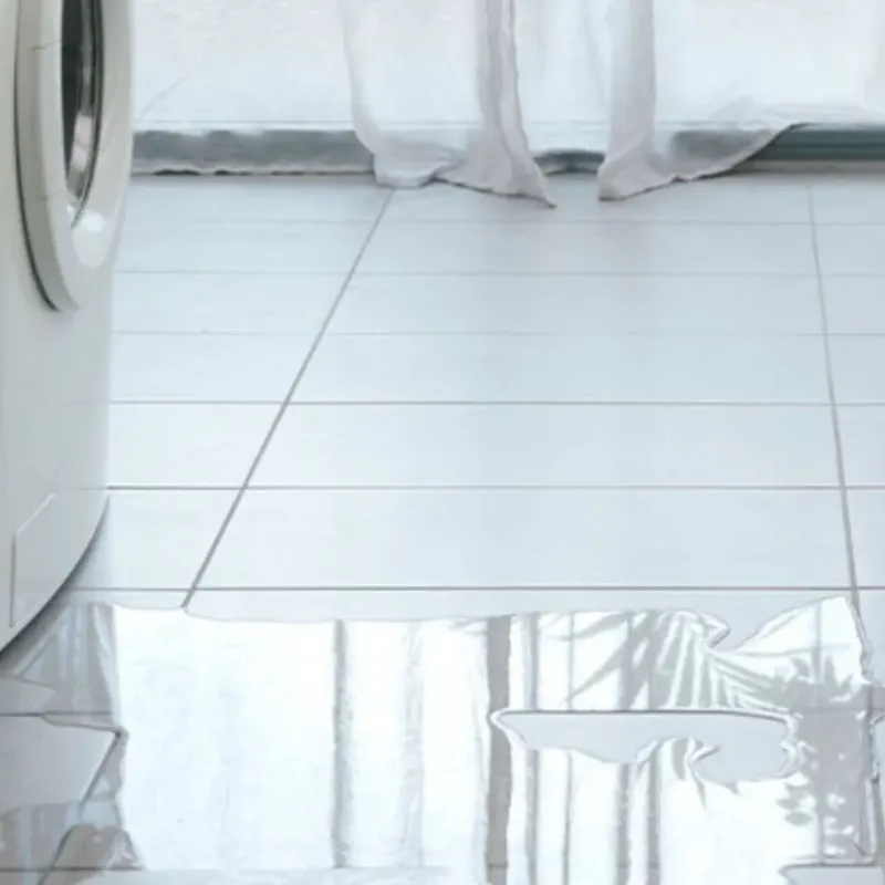 Appliance Leak Cleanup in Isle of Palms, SC